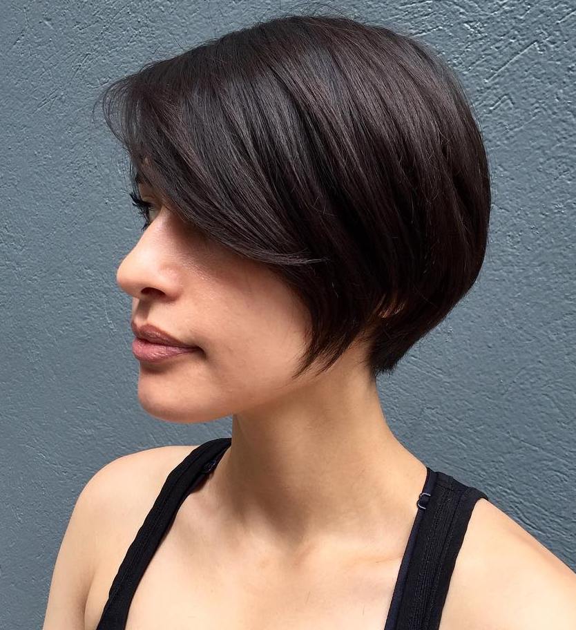 Sleek Brunette Pixie Bob