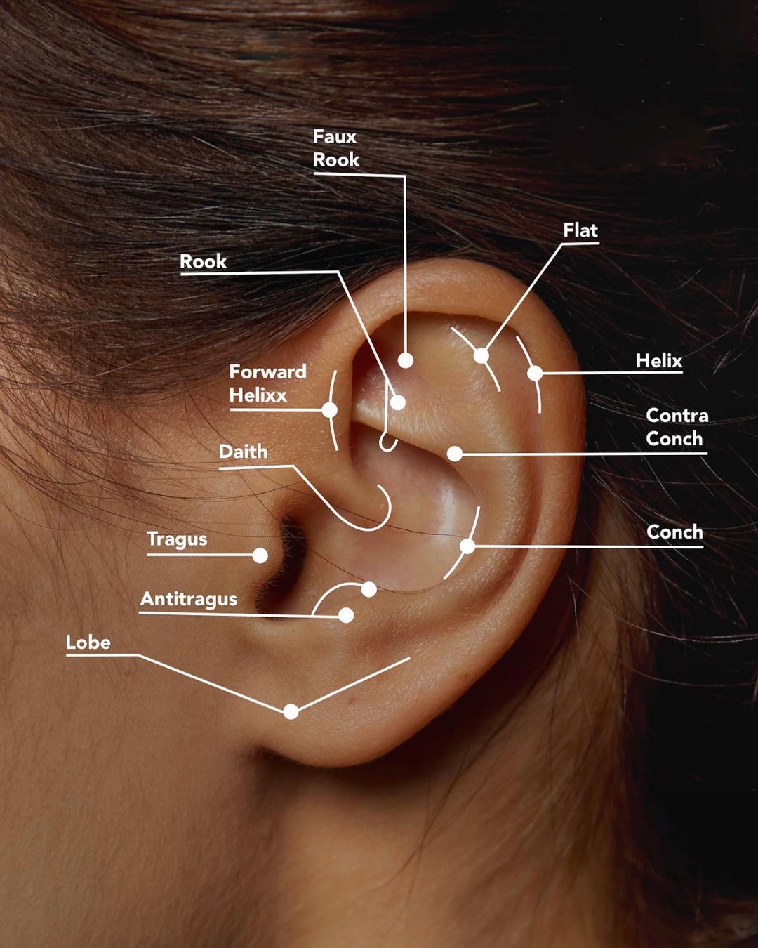 Ear Piercing Chart For