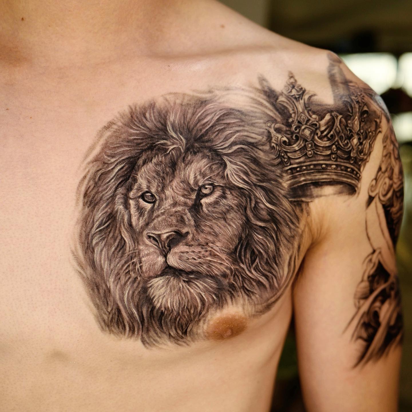 Lion Chest Tattoo Ideas Male Infoupdate
