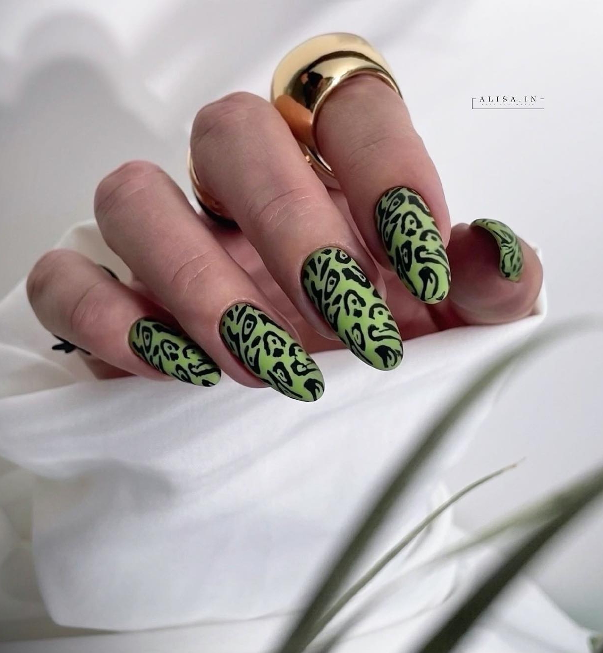 Round Black and Green Nails with Leopard Design