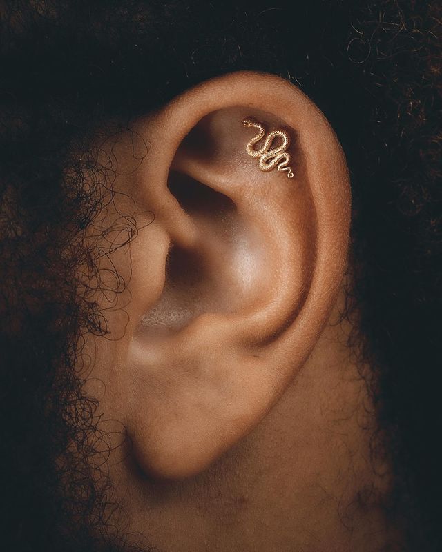 Cute Ear Piercing with Snake-Shaped Earrings