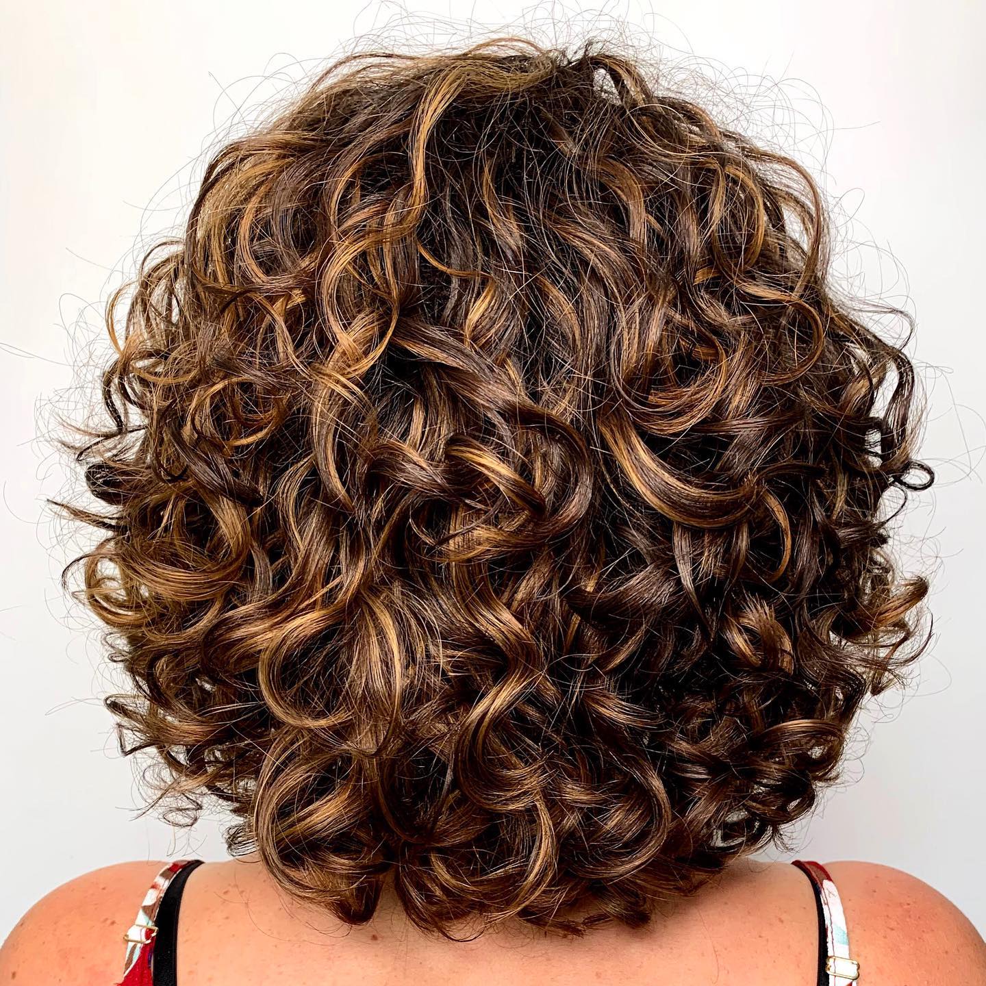 Curly Brown Bob with Blonde Highlights