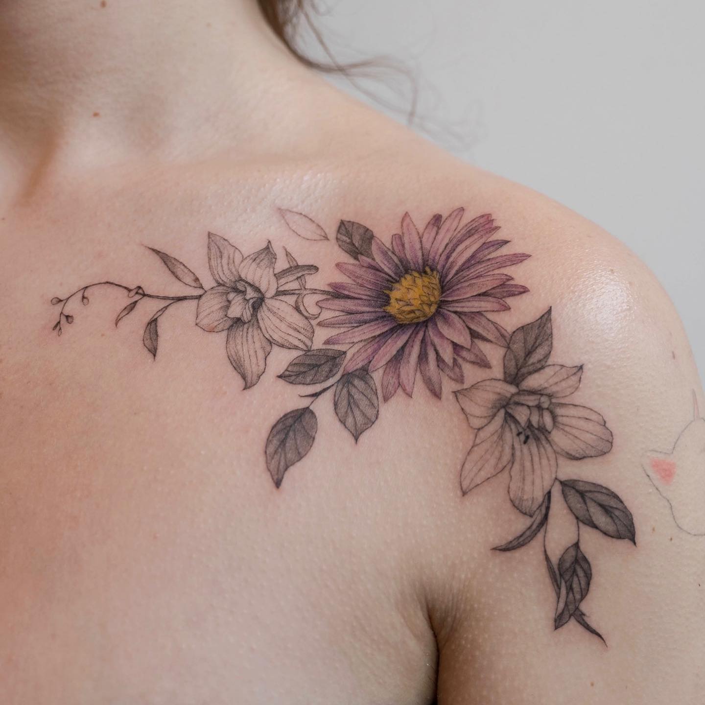 Aster Flower Tattoo on Shoulder