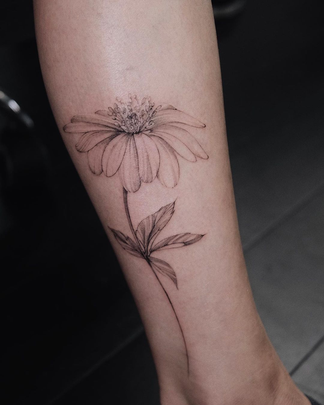 Black and White Aster Flower Tattoo on Arm