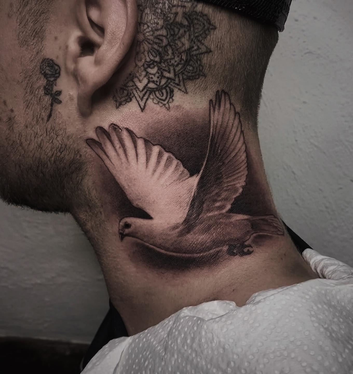 Black and White Dove Tattoo on the Back and Side of the Neck