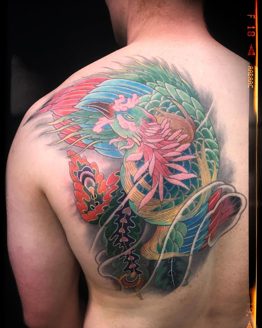 Colorful Japanese Phoenix Tattoo on Shoulder