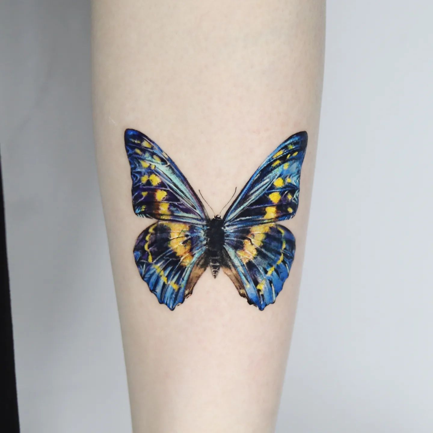 Blue and Yellow Butterfly Tattoo on Arm