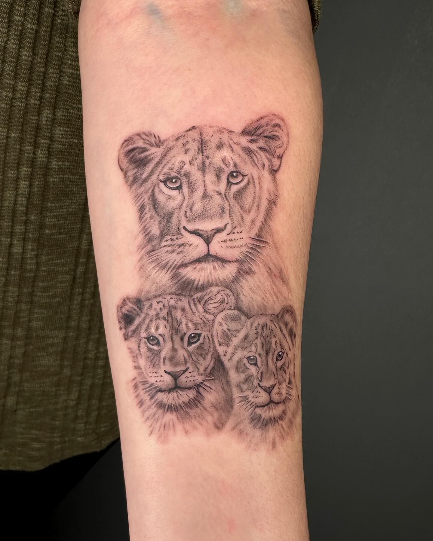 Lion and Two Cubs Tattoo on Arm