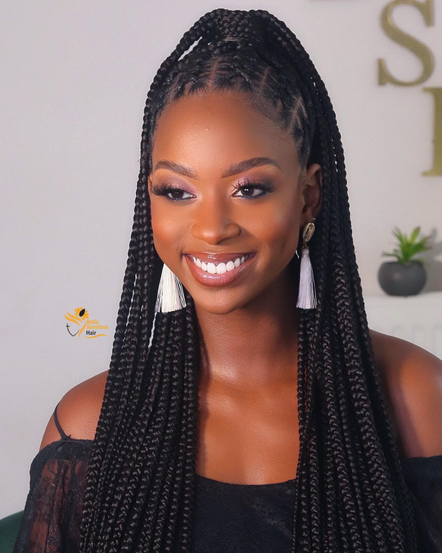 10+stunning box braids hairstyles for ladies