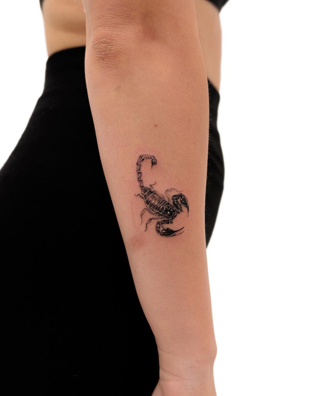 Scorpion tattoo by Guillaume Martins  Photo 30400