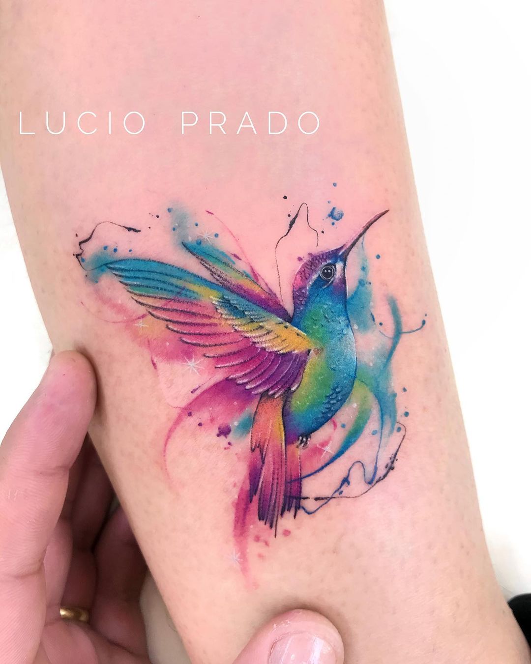 Watercolor Hummingbird Tattoo on Arm
