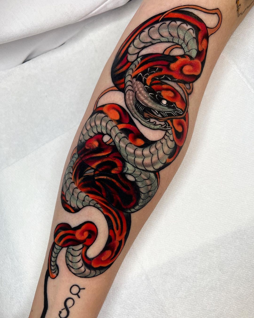 Black and Red Snake Japanese Tattoo on Arm