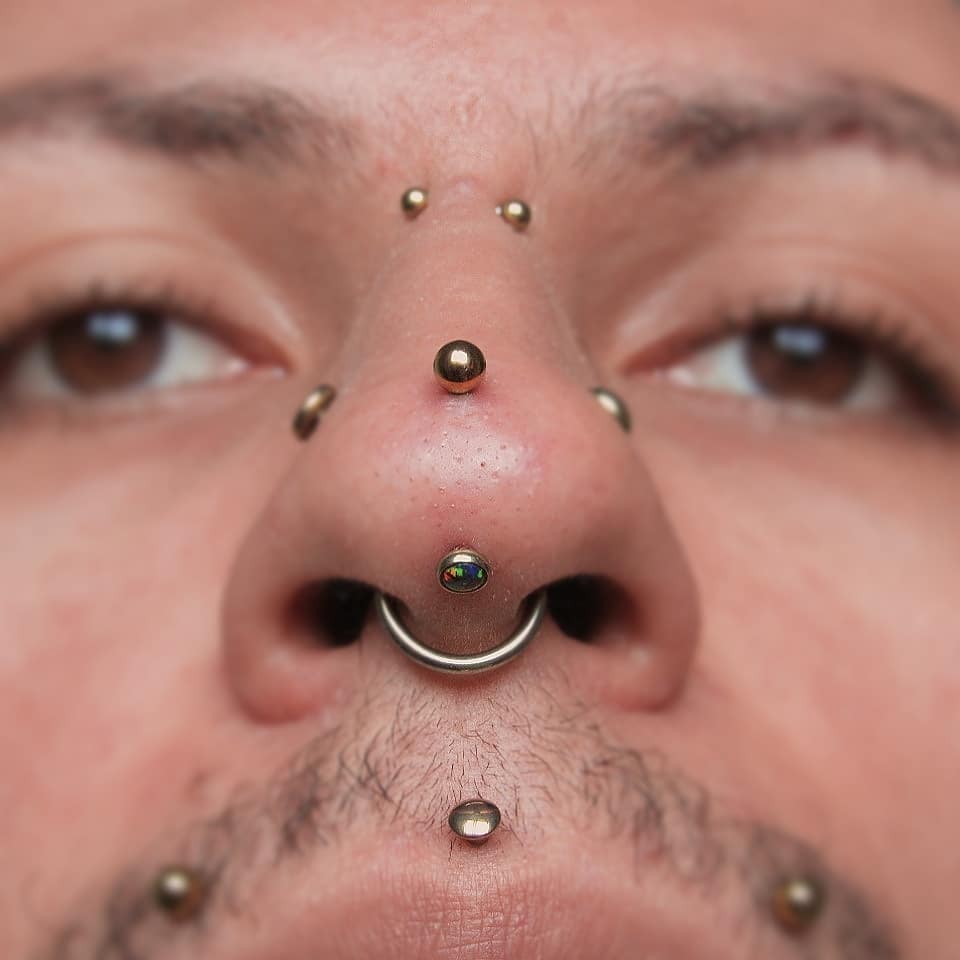 Gold Stud Rhino Piercing