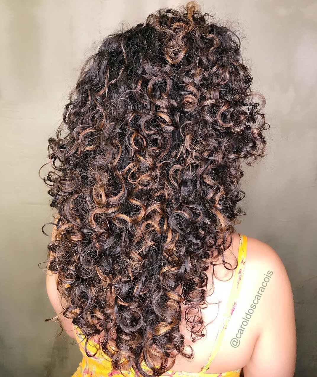Long Curly Mane With Shiny Highlights