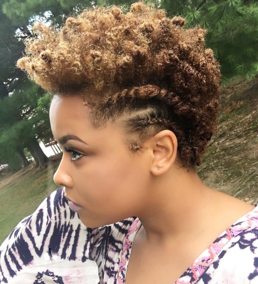 Short Curly Natural Hairstyle With Side Twists