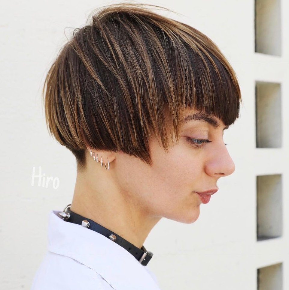 Straight Geometric Pixie Bob